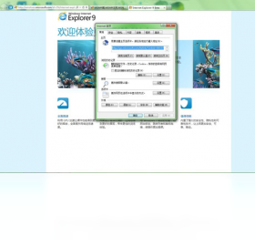 Internet Explorer 9 IE9截图2