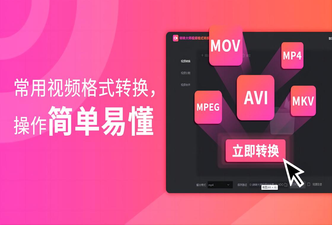 转转大师视频格式转换器界面预览