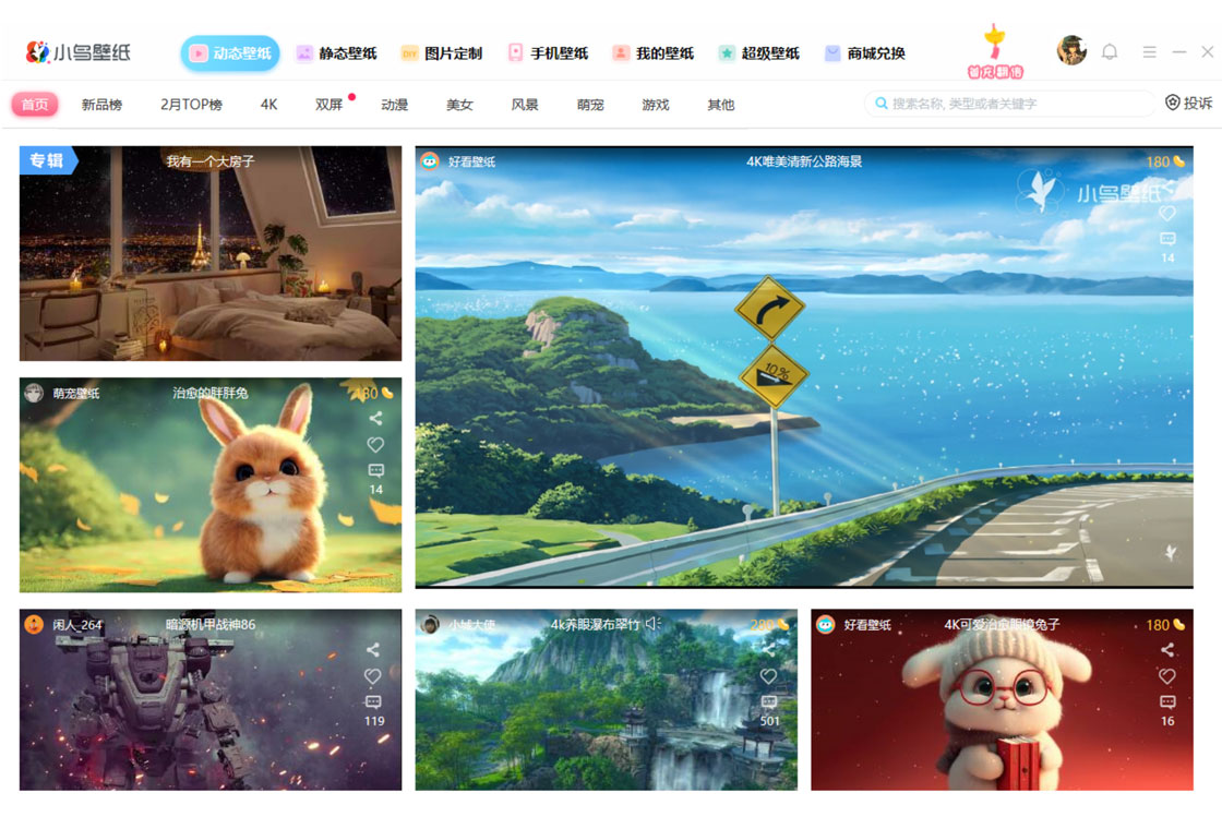 小鸟动态壁纸电脑版截图4
