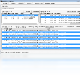 单身狗重复文件清理软件电脑版截图0