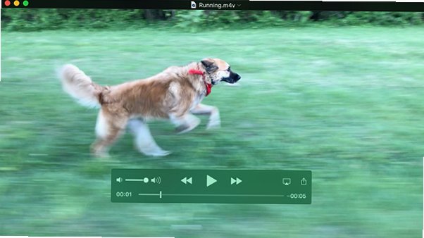 QuickTime Player for Mac截图2