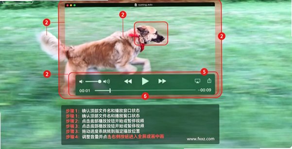 QuickTime Player for Mac QuickTime Player for Mac