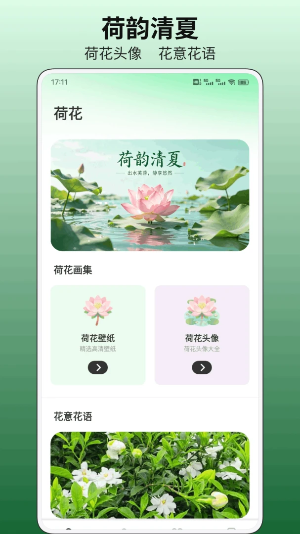 小荷花平台预览图