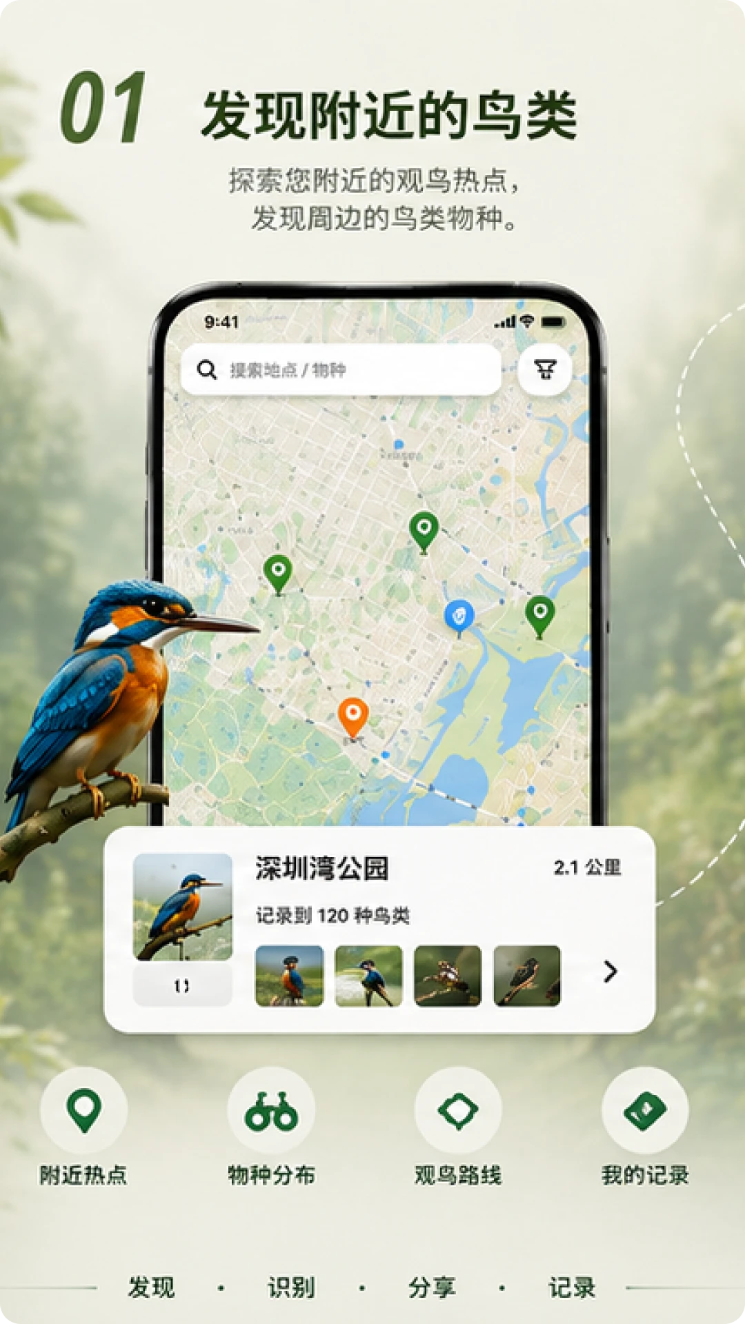 Go Birding界面预览