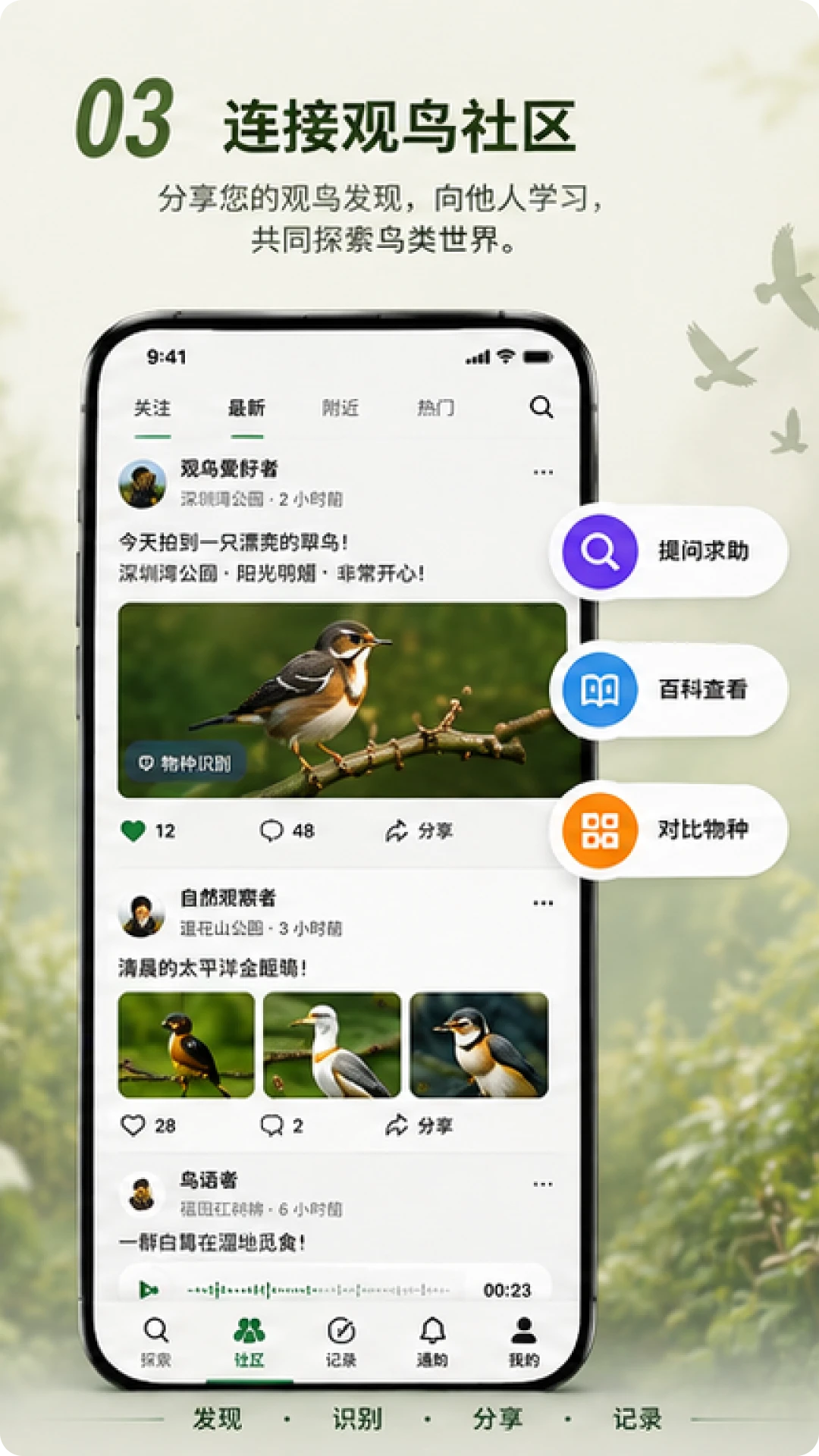 Go Birding功能界面