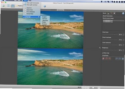 Helicon Focus for Mac���԰�