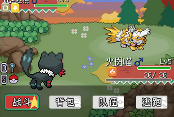宝可梦轴芯