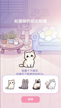 橘子小屋云养猫游戏手机版 橘子小屋云养猫游戏手机版