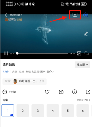 天鹅视频正版免广告版下载最新版 天鹅视频正版免广告版下载最新版