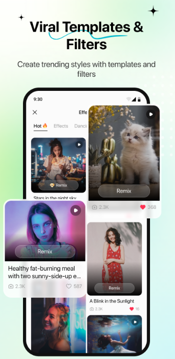 pavo ai��׿�氲װ��