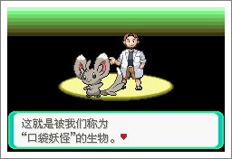 口袋妖怪漆黑的魅影5.0exbw手机版