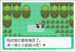 口袋妖怪漆黑的魅影5.0exbw手机版