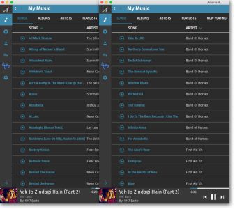 Amarra for Mac最新版 Amarra for Mac最新版