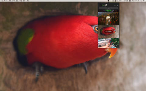 Pap.er for Mac(5K高清壁纸软件) Pap.er for Mac(5K高清壁纸软件)