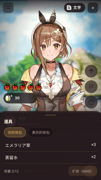 莱莎AI截图