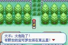 �ڴ����ֻ��