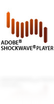 Adobe Shockwave Player冲击波播放器截图1