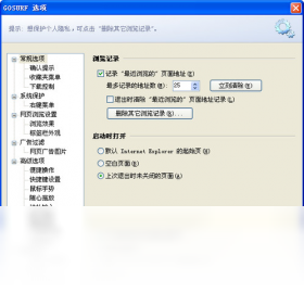 GOSURF浏览器截图2