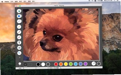 Patina for mac�ٷ����԰�