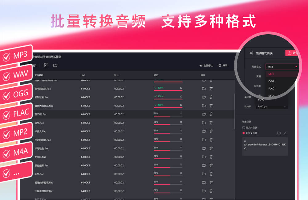 金舟音频大师电脑版截图3