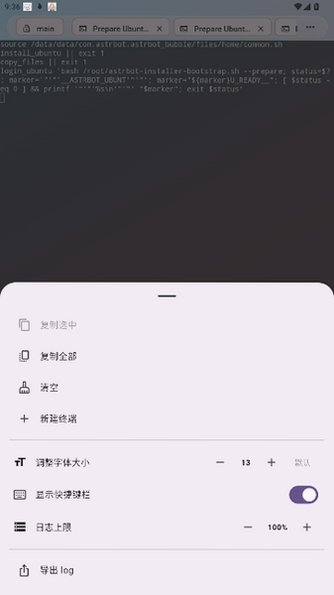 AstrBot泡泡版官方最新版0.1.0-beta5.5截图3