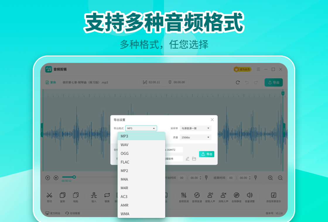 音频剪辑Audio Clip截图1