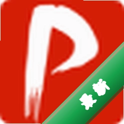 ��ʯPDF�Ķ�������