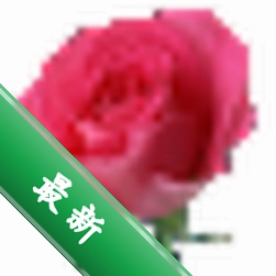 听雨桌面助手下载