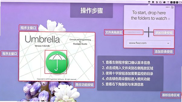 Umbrella for Mac�ٷ���