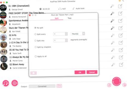 AudFree DRM Audio Converter for Mac���԰��ͼ3