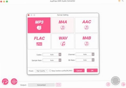 AudFree DRM Audio Converter for Mac���԰��ͼ2