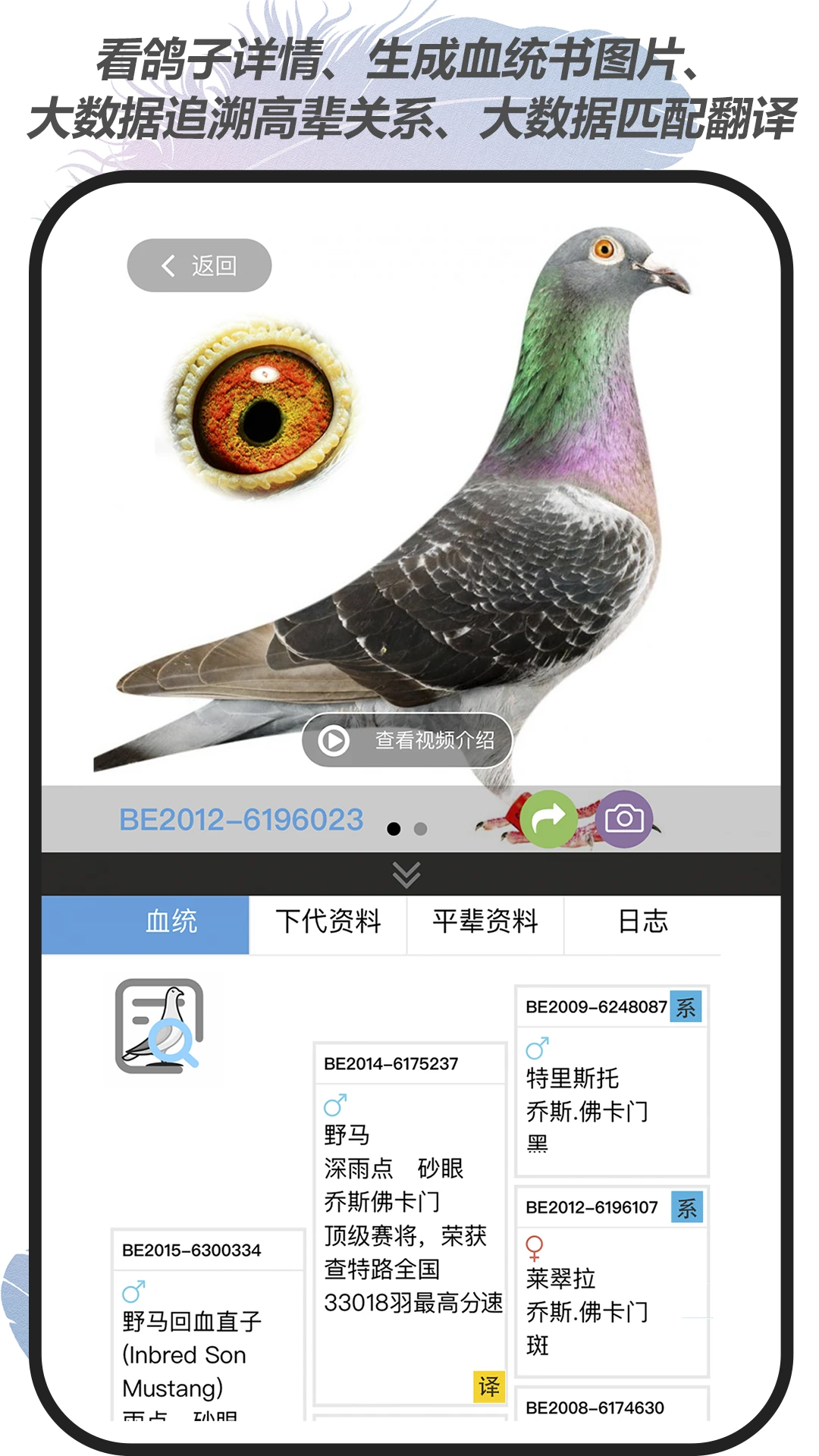 赛鸽云最新版本v9.9.4官方版截图4