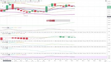 USDT市值超越以太坊 2026年行情分析图