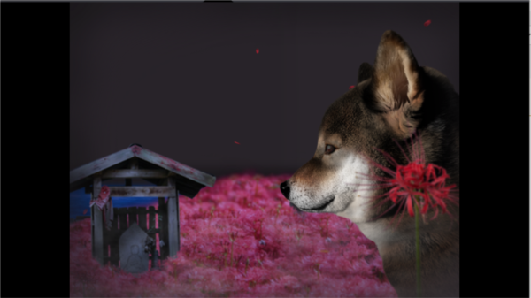 ���ղ��湷�����ռ�