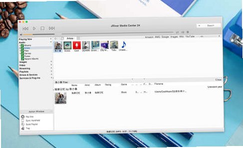 JRiver Media Center for Mac电脑版截图1
