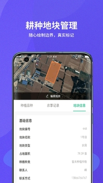 种粮一体化政策查询
