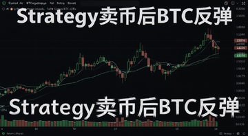 Strategy���Һ�BTC������ʵʱK��ͼ����,2026����رҼ۸񲨶�����,��