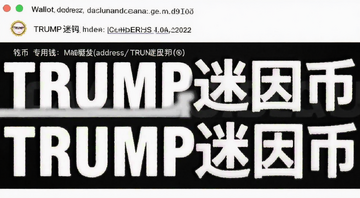 TRUMP迷因币存入专用钱包界面,展示钱包地址和代币余额,用