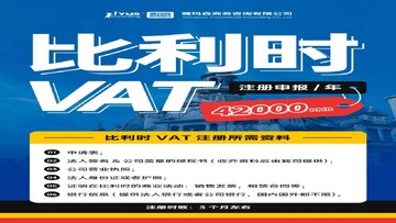 ����ʱ�����ʲ�VAT˰���걨����