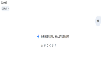 Gemini���������޵�����ʾҳ���ͼ,��ʾ������֧������