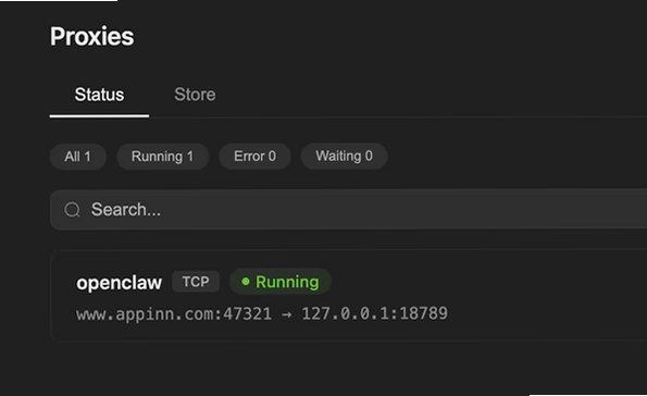frp for Mac 开源内网穿透客户端截图1