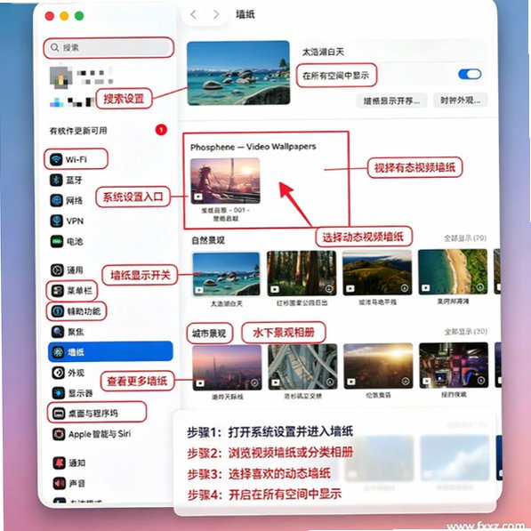 Phosphene Mac版 原生视频壁纸工具截图0