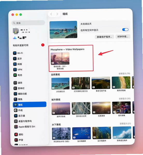 Phosphene Mac版 原生视频壁纸工具截图2