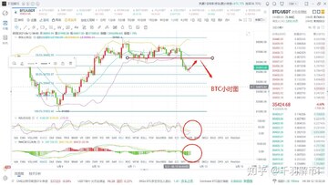 BTC Digital�ɼ�����ͼ,�ؼ��ʰ���BTC���۶�̬