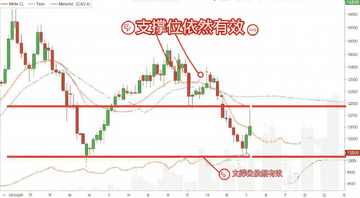 一张K线图上用红色水平线标注出三个明显的支撑位,价格每次跌到这条线附近就反弹,画面简洁清晰,带“支撑位依然有效”号标注