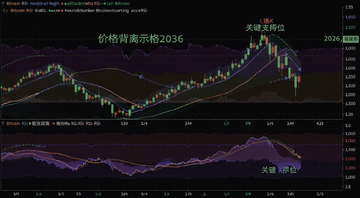 比特币RSI指标与价格背离示意图2026年,核心关键词比特币价格RSI,图中文字注明看涨背离和关键支撑位