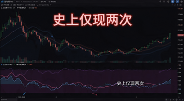 ���ر�RSI�����������������ʾ��ͼ,ͼ�б�ע'ʷ�Ͻ�������'������RSIָ������,����Ϊ��ɫ���׽���
