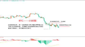 ���ر�BTC�۸񷴵�����ͼ,��ע��������ͷ������,����˵���г���������