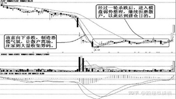 A股恐慌指数查询 散户恐慌指数 机构抄底信号图 机构与散户情绪背离