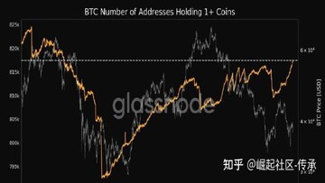 比特币与科技股脱钩后散户交易策略分析,比特币6万美元跌破后操作建议